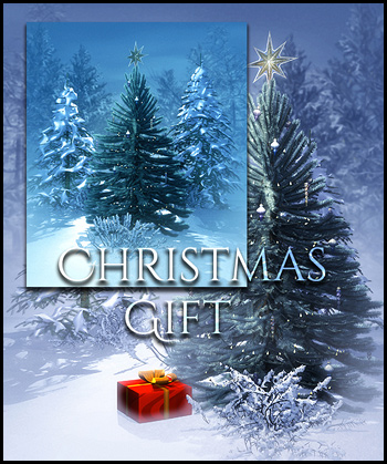 (image for) Christmas Exclusive Gift